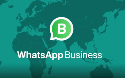 Che vantaggi può portare WhatsApp business a un’azienda?